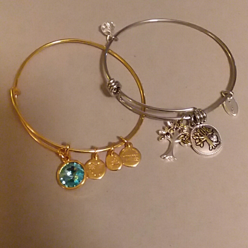 Two Charm Bracelets